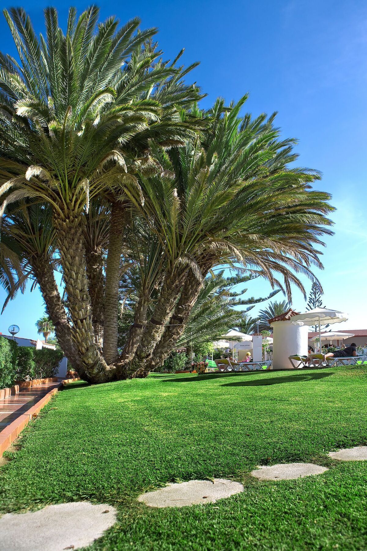 Parque Paraiso I Playa del Ingles  Exterior photo